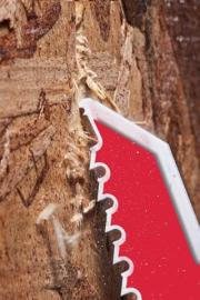 DETAIL81788