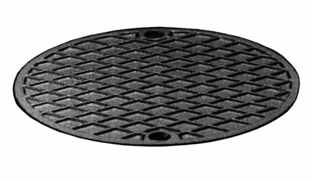 Lock med skruvhål  300